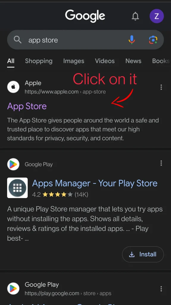 Search "App Store" in the google chrome browser